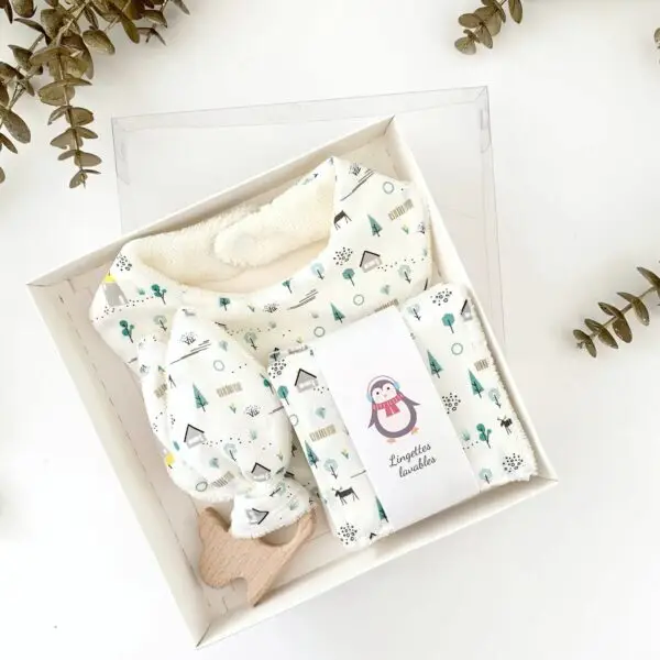 Coffre cadeau naissance maison